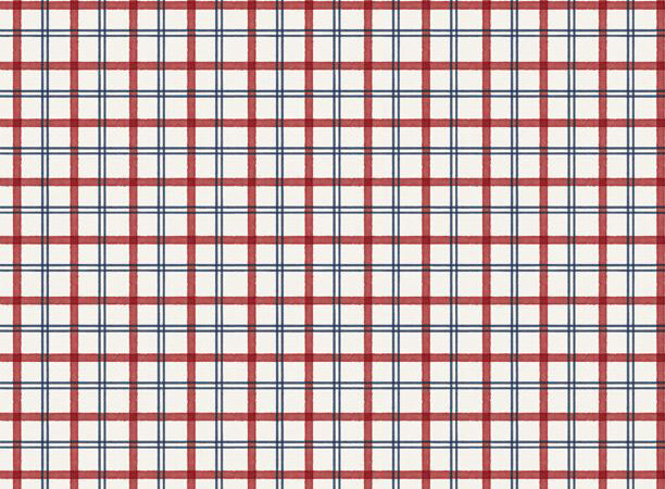 Wilmington At the Helm Red Plaid