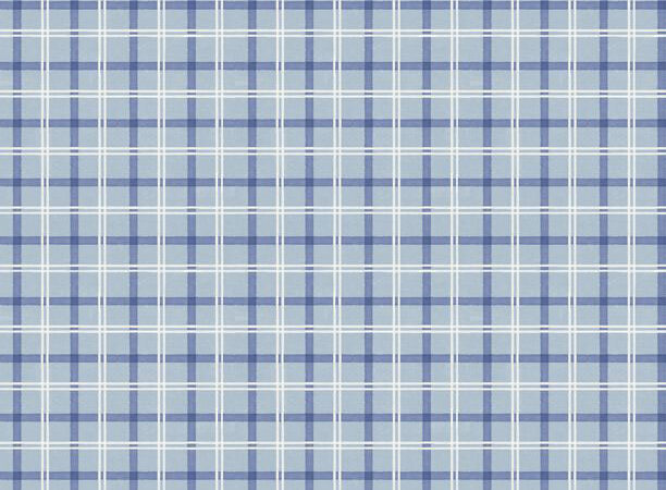 Wilmington At the Helm Blue Plaid