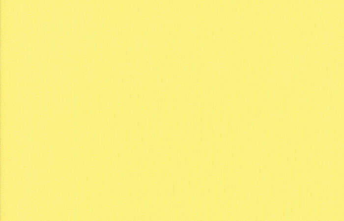Moda Bella Solids Sunshine
