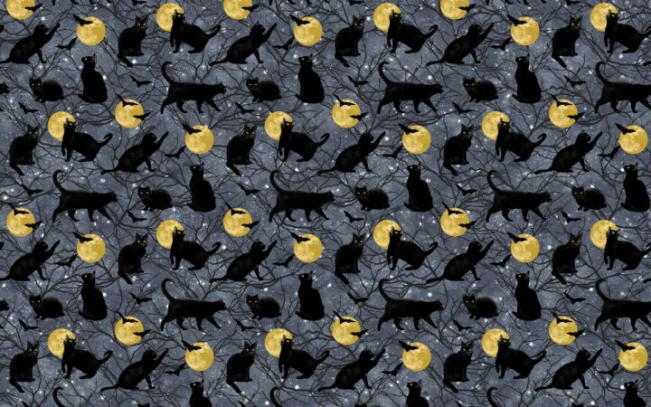 Northcott Hocus Pocus Black Cat Moon