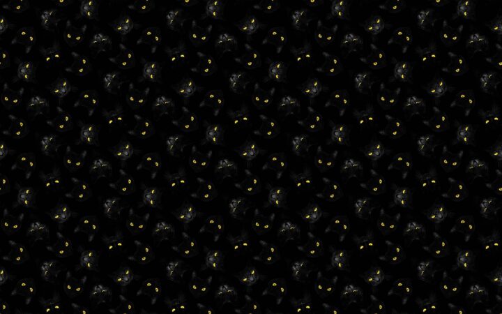 Northcott Hocus Pocus Cat Eyes