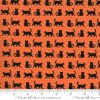 Moda Fabrics Midnight Magic II Cat Parade on Pumpkin with Ruler