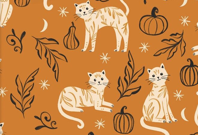 3 Wishes Too Cute to Spook Cutsie Cats