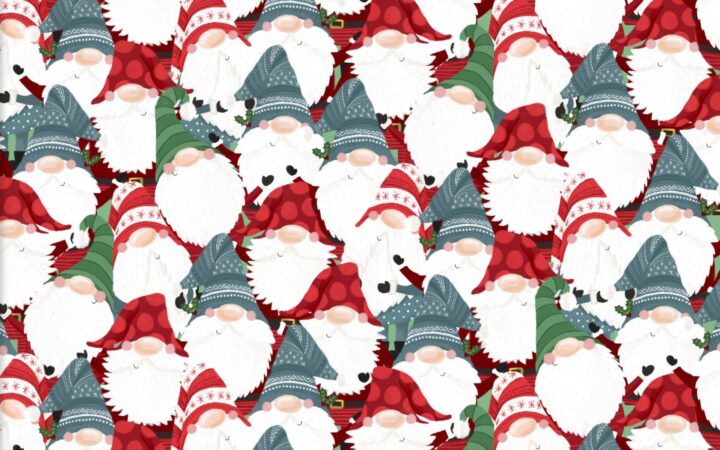 3 Wishes I’ll Be Gnome for Christmas Packed Gnomes