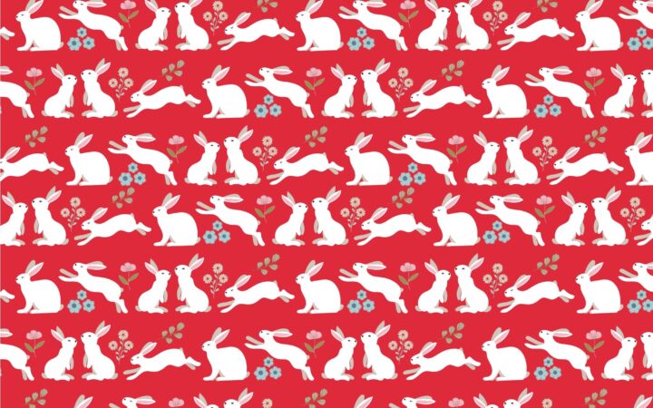 Poppie Cotton Poppie’s Patchwork Club Peter Rabbit Red