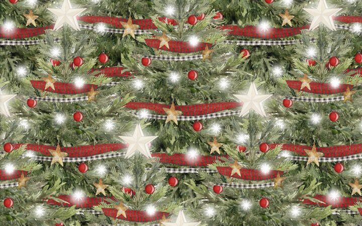 3 Wishes A Christmas to Remember Trees