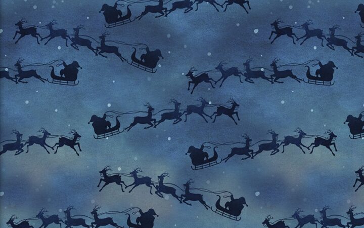 3 Wishes A Christmas to Remember Santa’s Sleigh