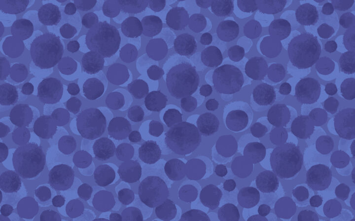 Lewis & Irene Bumbleberries Rainbow Blue