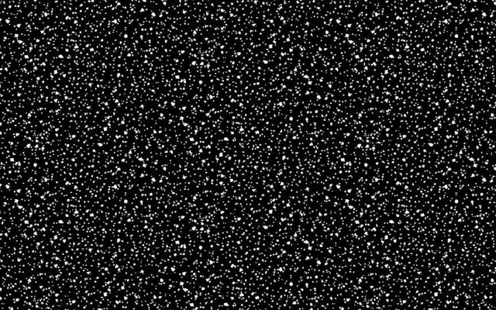 Dear Stella Stardust Coal
