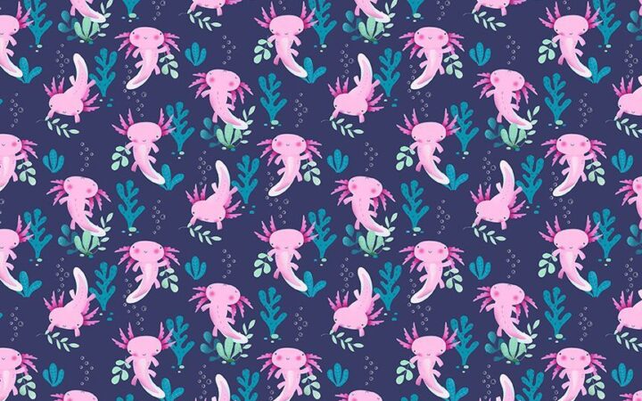 Dear Stella Make Waves Axolotls