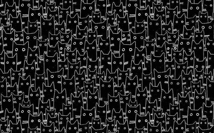 Dear Stella A Tall Yarn Cat Having a Meowment