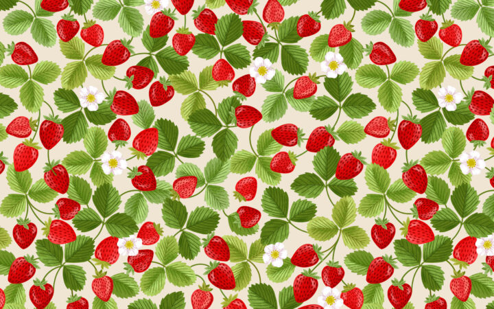 Lewis & Irene Teddy Bear’s Picnic Strawberries Cream