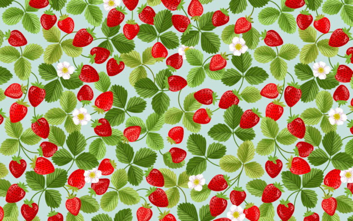 Lewis & Irene Teddy Bear’s Picnic Strawberries Duck Egg