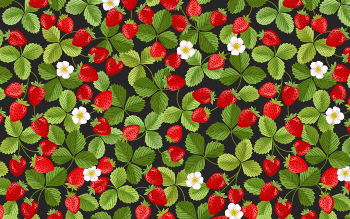 Lewis & Irene Teddy Bear’s Picnic Strawberries Black