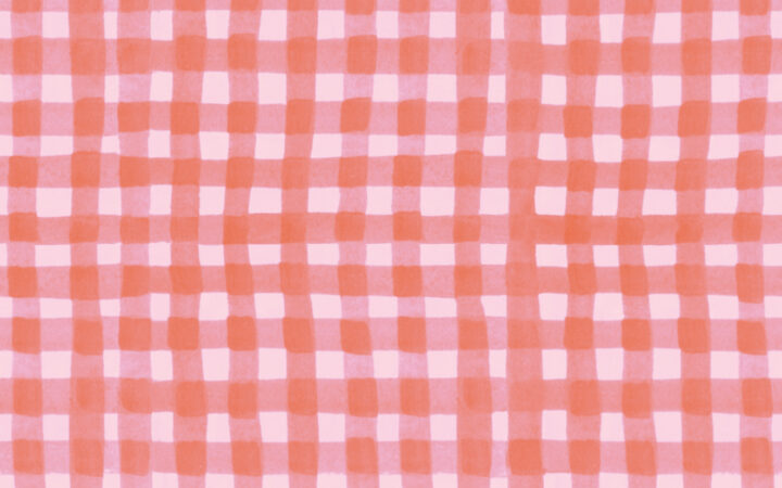 Lewis & Irene Ally Gingham Coral