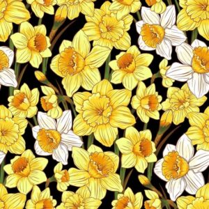 Nutex Flower Market Daffodils on Black