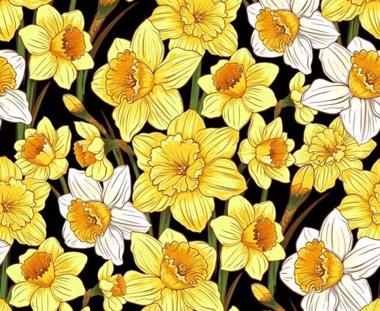 Nutex Flower Market Daffodils on Black