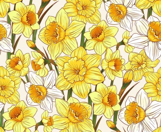 Nutex Flower Market Daffodils
