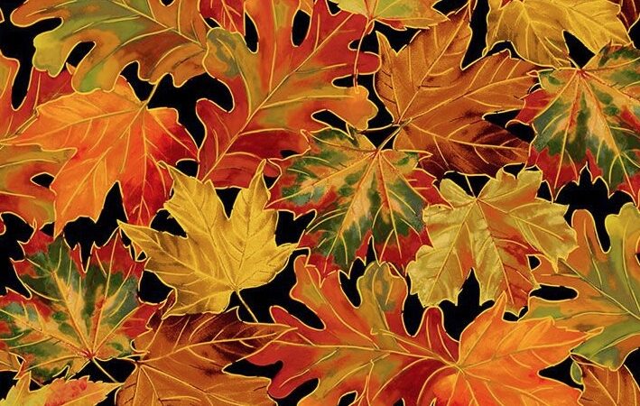 Timeless Treasures Harvest Autumn Leaves
