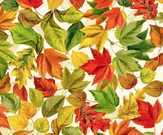 Timeless Treasures Harvest Leaves Cream
