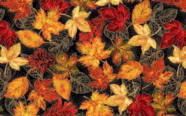 Timeless Treasures Harvest Autumn
