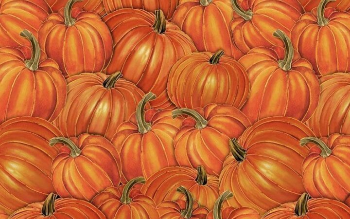 Timeless Treasures Harvest Packed Pumpkins