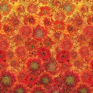 Timeless Treasures Harvest Ombre