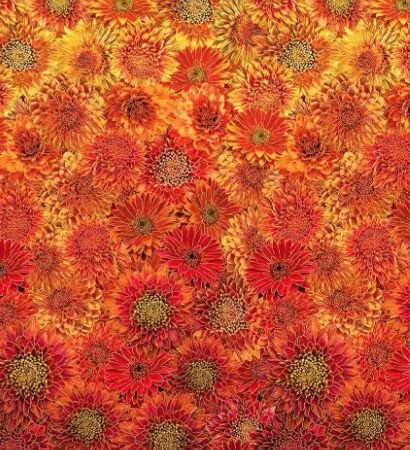 Timeless Treasures Harvest Ombre