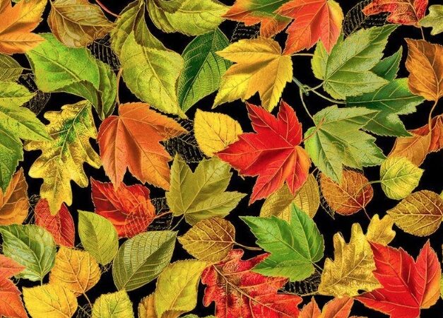 Timeless Treasures Harvest Leaves